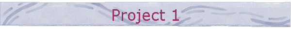Project 1