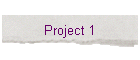Project 1