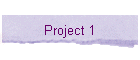 Project 1