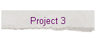 Project 3