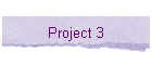 Project 3